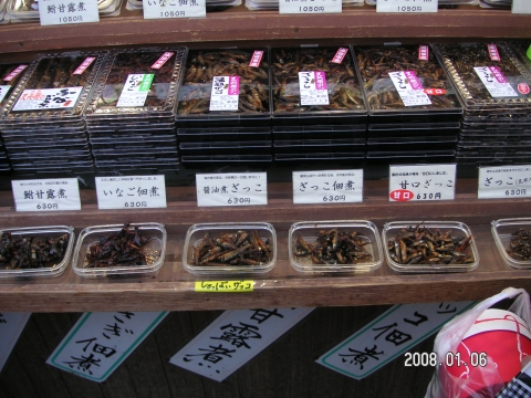 s_PICT0024.jpg